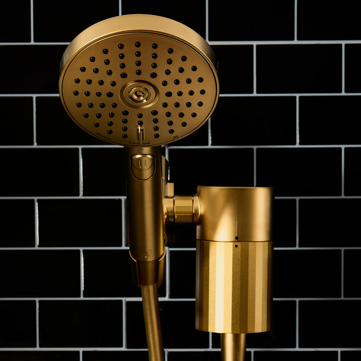 Metallic Hand Shower + Filter