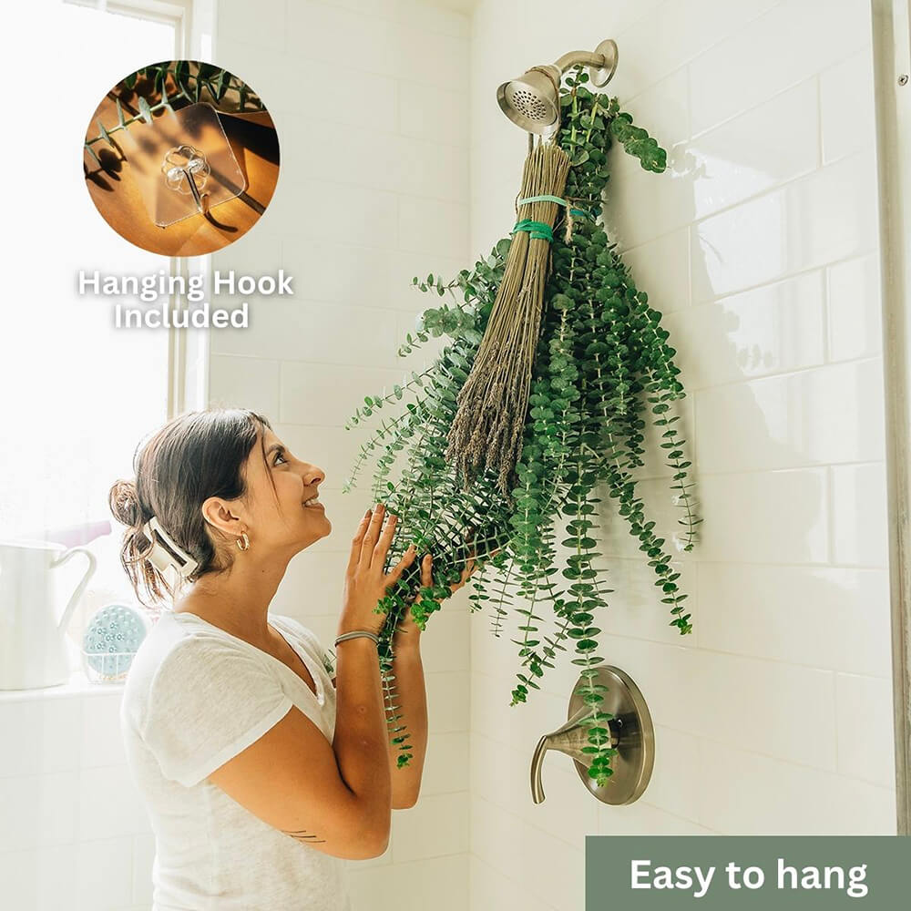 Shower Eucalyptus Bundle