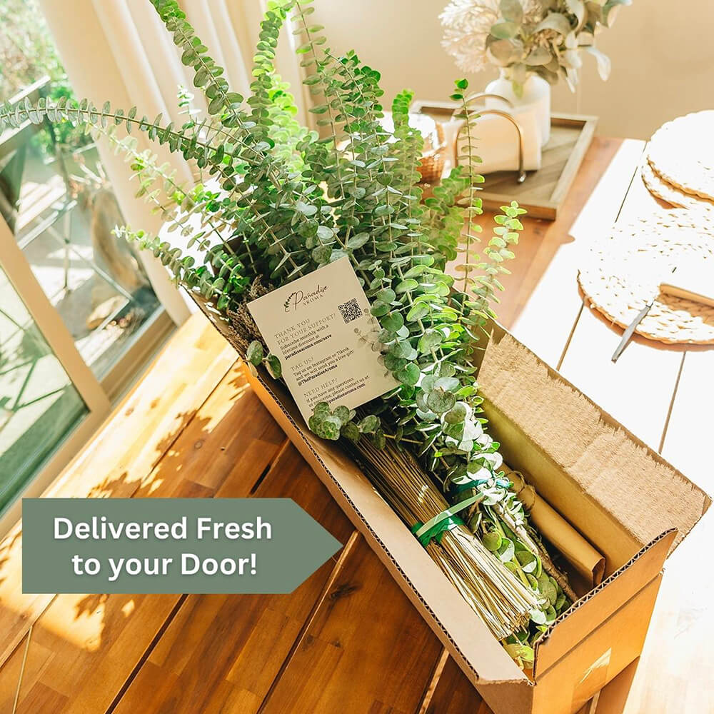 Shower Eucalyptus Bundle