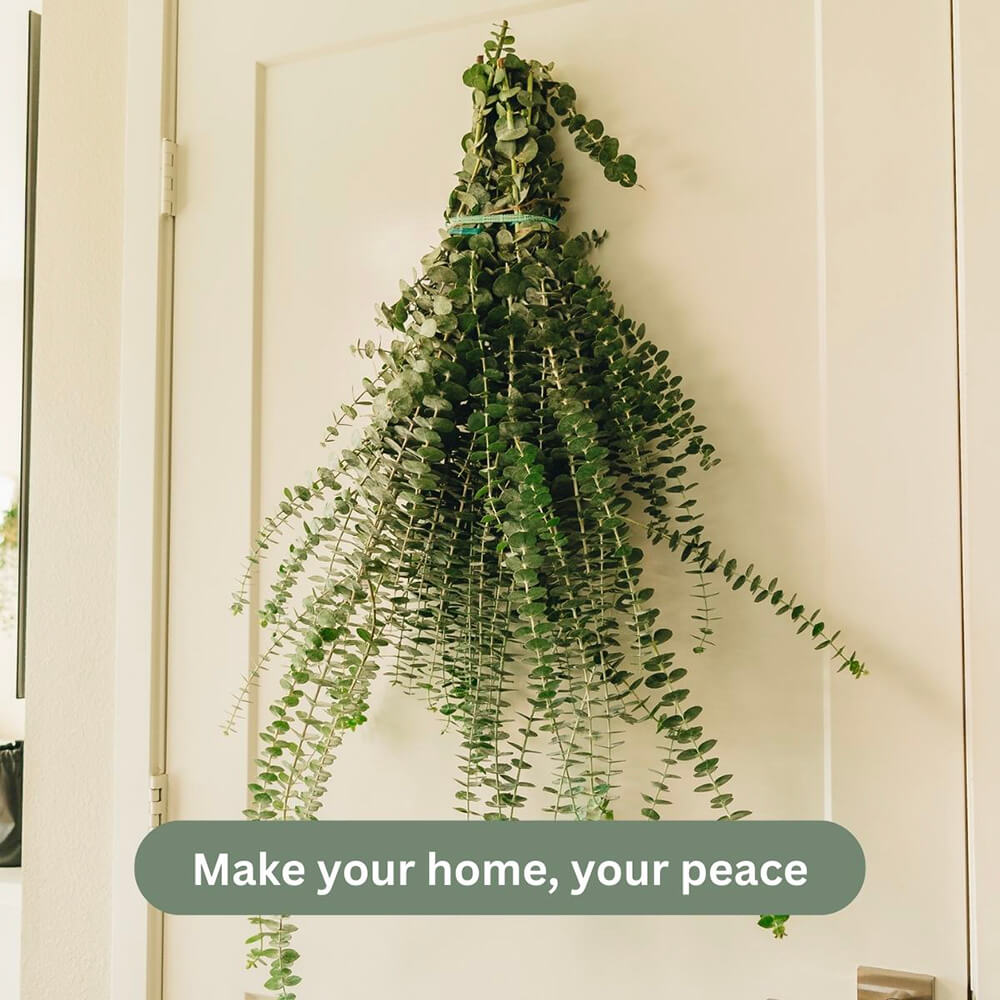 Shower Eucalyptus Bundle
