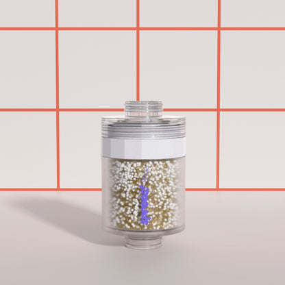 Shower Filter Cartridge with Subscription