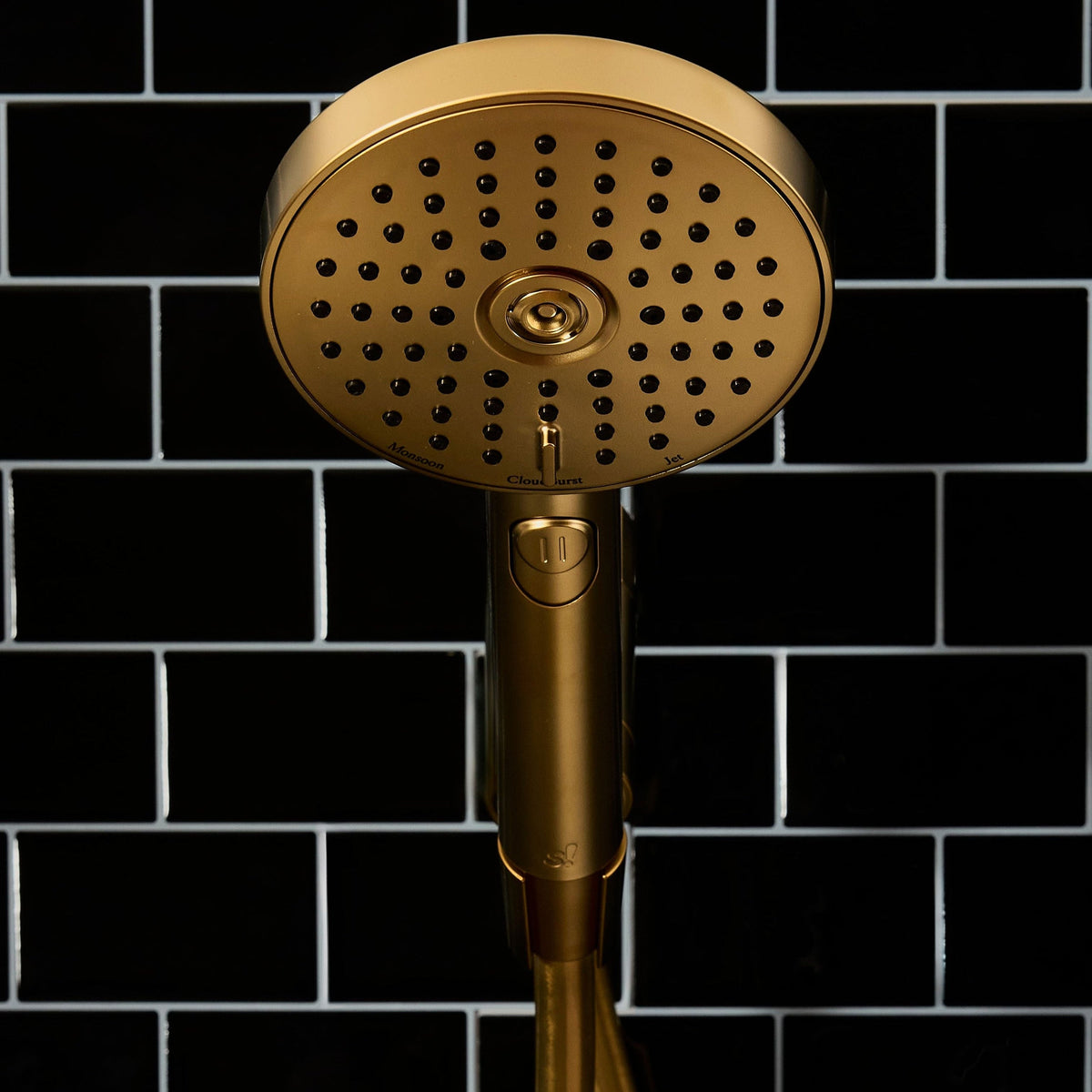 Metallic Hand Shower