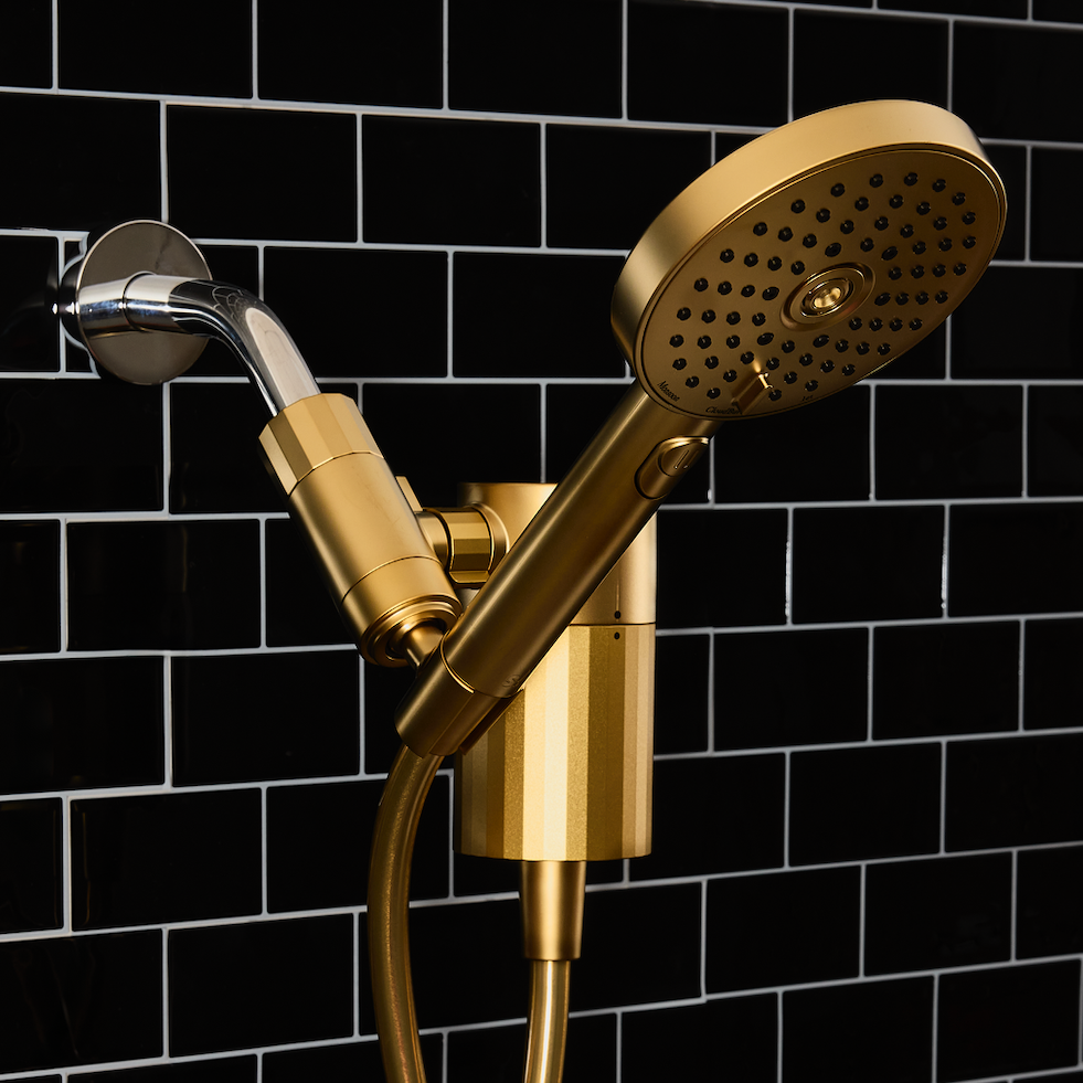 Metallic Hand Shower + Filter