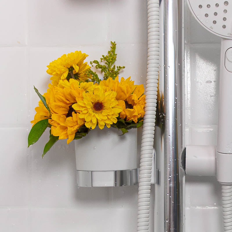 Shower Cups